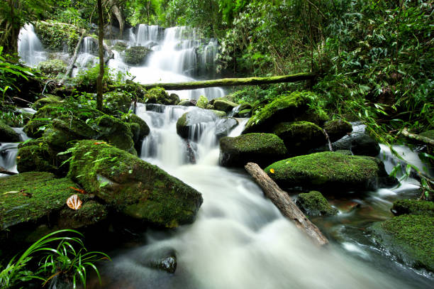 istock waterfall in thai national park. In the deep forest on mountain. 950996950
