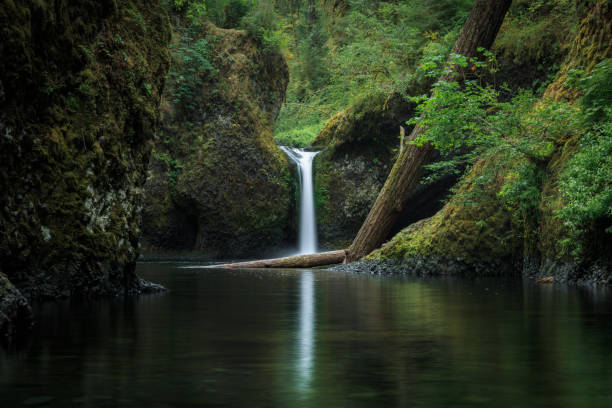 istock Punch Bowl Falls in the Columbia River Gorge 950997186