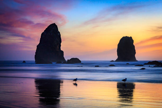 istock The Needles at Cannon Beach, Oregon during Sunset 950997246