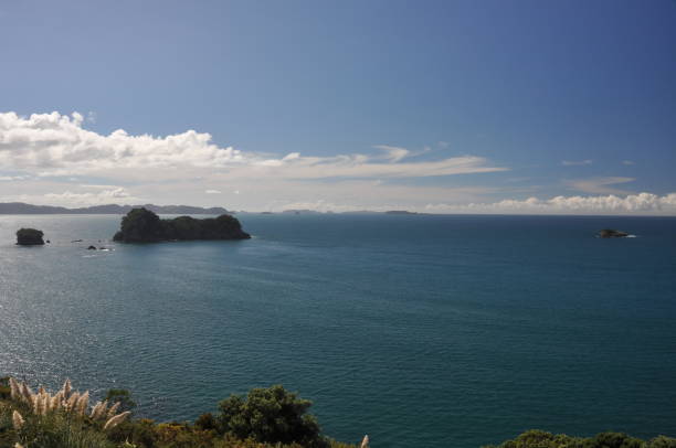 istock New Zealand North Island 951002308