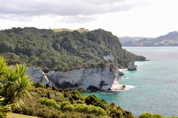 istock New Zealand North Island 951004588