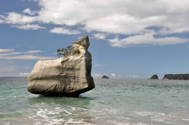 istock New Zealand North Island 951004724
