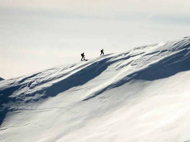 two backcountry skiers hiking up on a long mountain ridge towards the summit near Klosters in the Swiss Alps in deep winter on a great day
