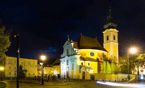 istock Carmelite Church, Gyor, Hungary 951006858