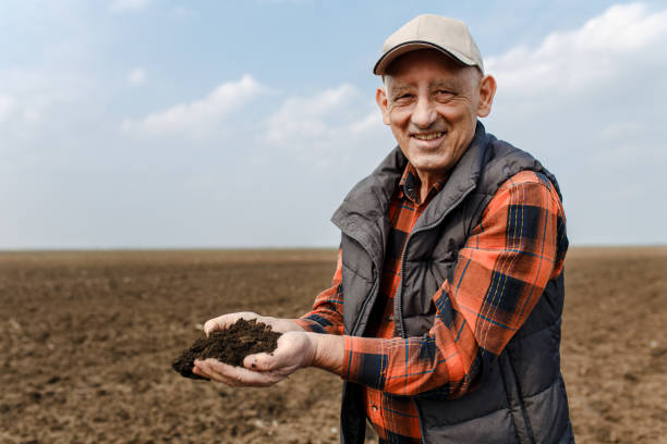 istock Senior farmer in field holding and examining soil in his hands. 951007196
