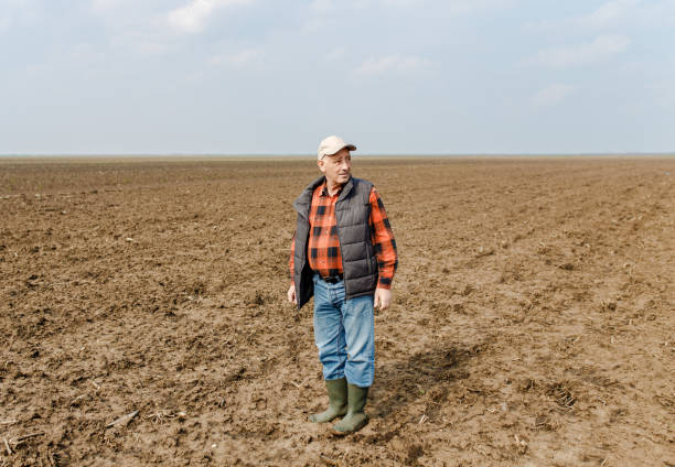 istock Senior farmer standing in field and examining soil. 951009926