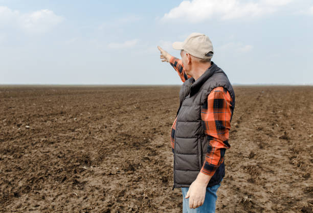 istock Senior farmer standing in field and examining soil. 951009930