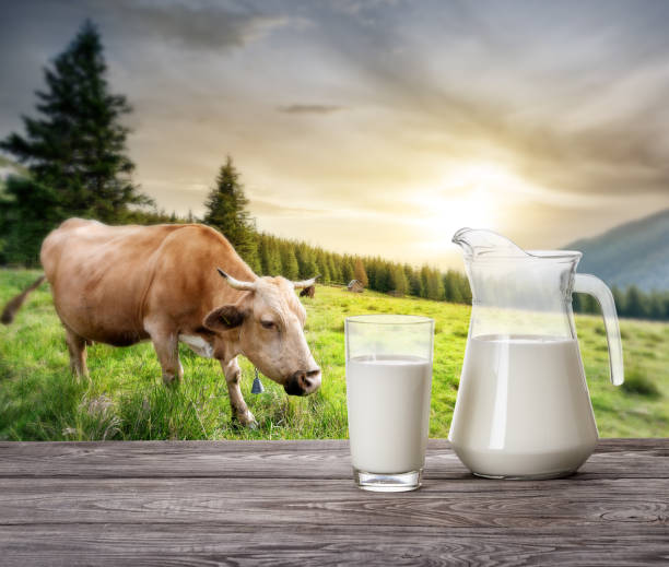 istock Milk in transparent dishes on a wooden table 951011200