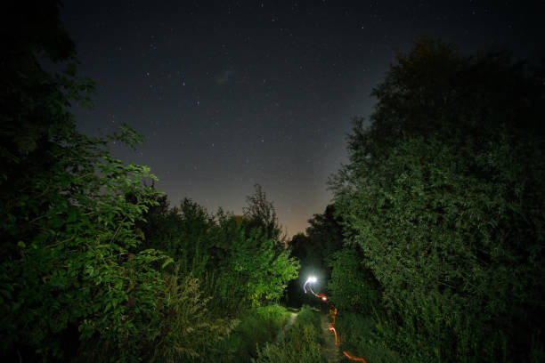 istock Rural road with a fiery track under the starry sky 951011286