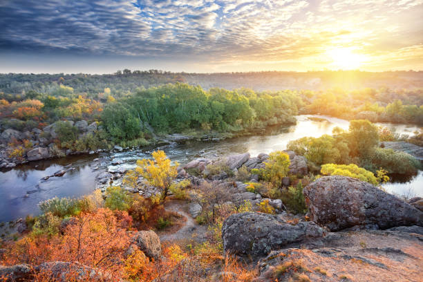 mountain river among stony shores in the evening - tree stream forest woods imagens e fotografias de stock