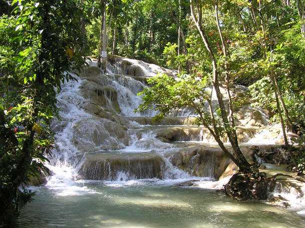 ドンズ リバーの滝-ジャマイカ - オーチョリオス 写真 ストックフォトと画像