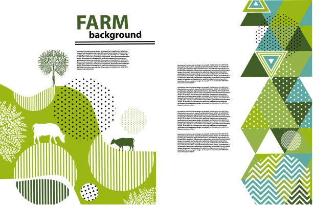 illustrazioni stock, clip art, cartoni animati e icone di tendenza di progettazione del layout della brochure agricola. un esempio di sfondo per la farm. composizione geometrica. sfondo per copertine, volantini, striscioni - agricoltura