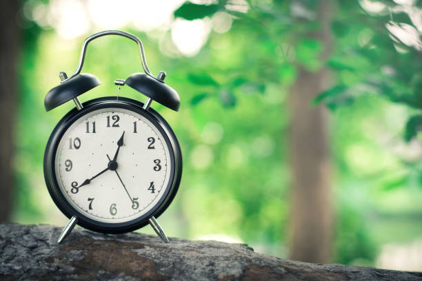 istock Black alarm clock on nature background with copy space 951021614