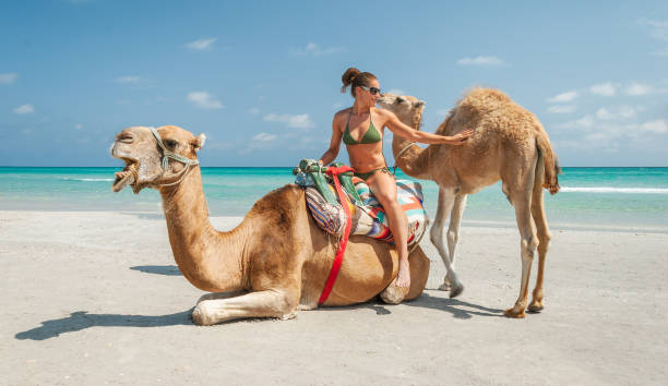 istock Pretty Young Woman Sitting on a Camel 951022148