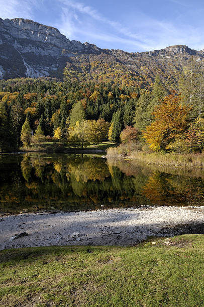 istock The colors of autumn - Vertical 95102224