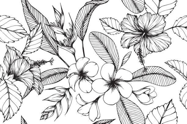 illustrazioni stock, clip art, cartoni animati e icone di tendenza di sfondo senza cuciture con motivo hawaiano con illustrazione di disegni di fiori e foglie. - hawaiian culture hibiscus flower pattern