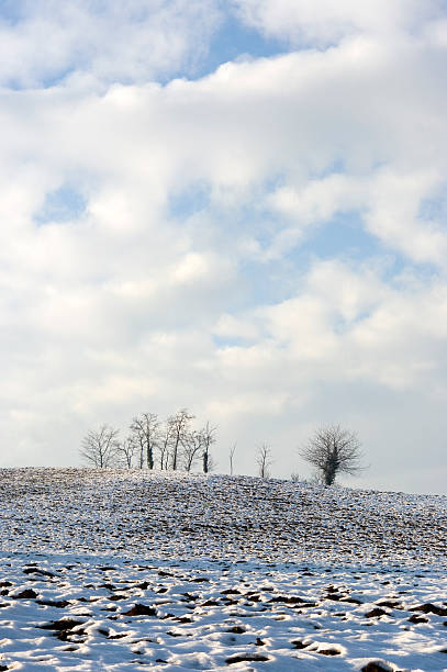 Wintry landscape stock photo