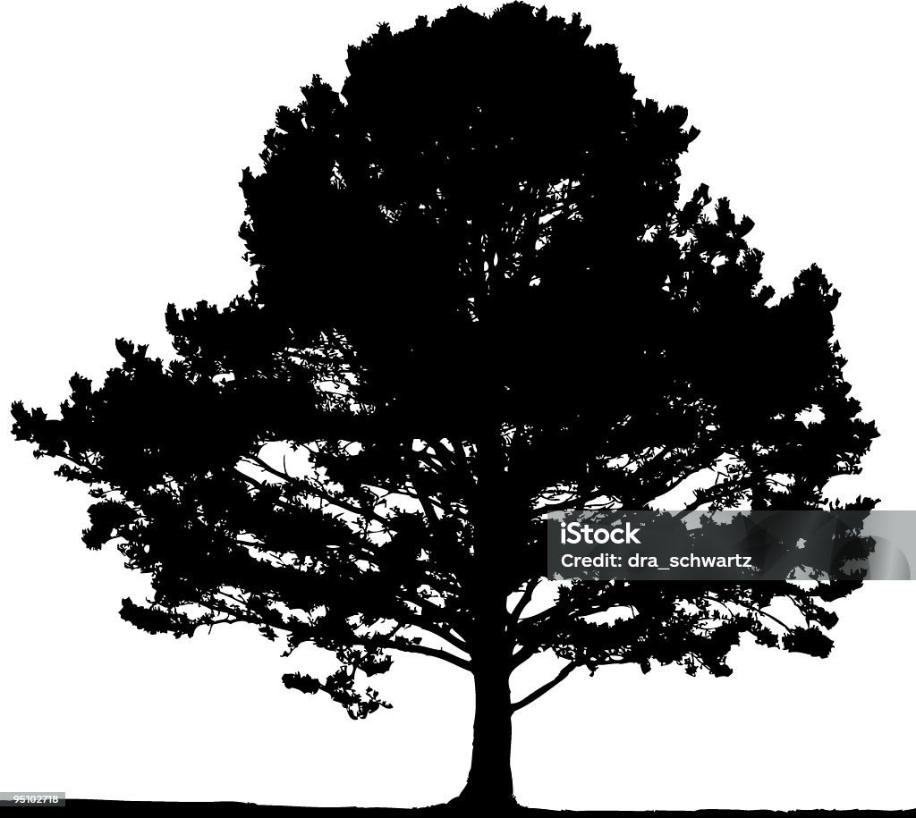Pine tree, vetor - Vetor de Ácer royalty-free