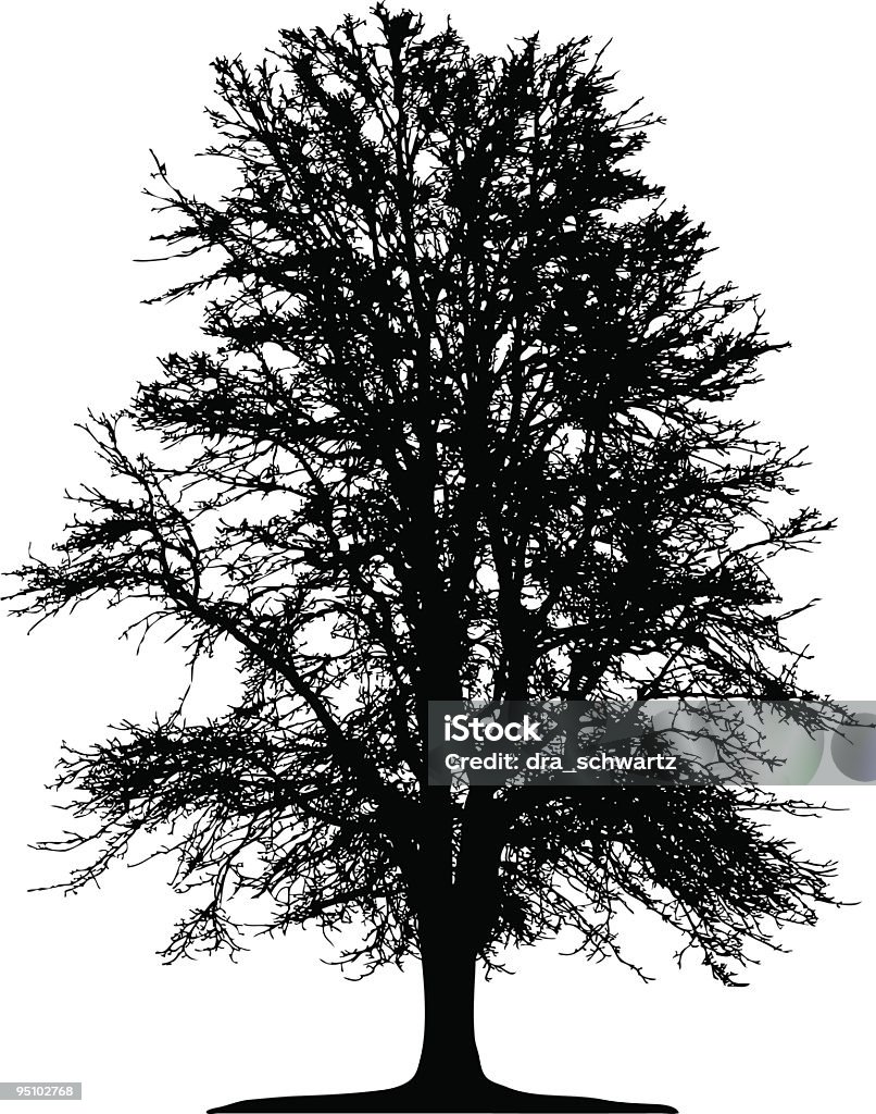 Silhueta de vetor de Árvore de Inverno - Royalty-free Ajardinado arte vetorial