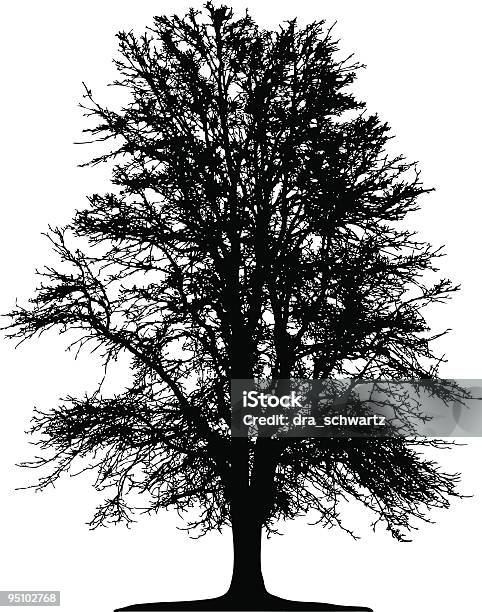 Silhueta De Vetor De Árvore De Inverno - Arte vetorial de stock e mais imagens de Ajardinado - Ajardinado, Alto - Descrição Física, Botânica - Ciência de plantas