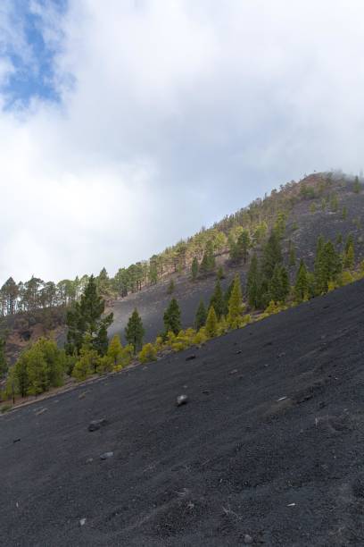 istock The Volcan route, La Palma. 951029268