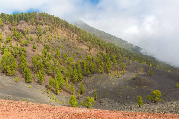 istock The Volcan route, La Palma. 951029358