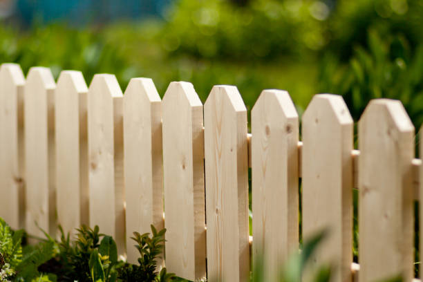 istock Garden fence 951030354