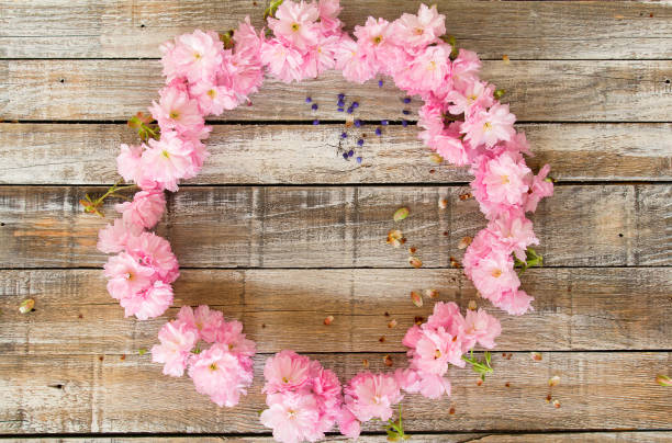 istock Red cherry blossom designed to circle on wood texture 951032110