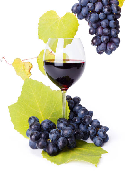 Glass of red wine with blue grape clusters stock photo