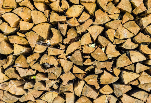 Background of dry chopped firewood logs in a pile