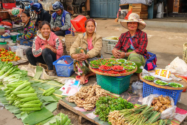 Vegetable at the food Market in the Village of Huay Xai in Lao at the Mekong River from the view in the northwest Lao in Lao.   Lao, Huay Xay, November, 2019