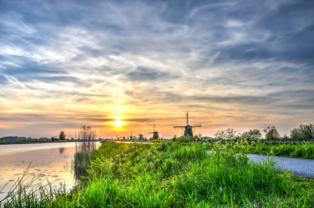 polder landscape at kinderdijk - alblasserwaard imagens e fotografias de stock