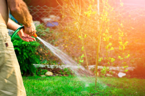 istock Watering plants in the garden, irrigating the soil. 951033372