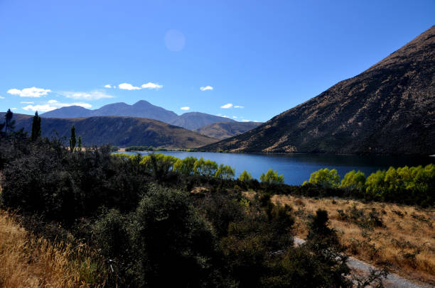 istock New Zealand South Island 951034178