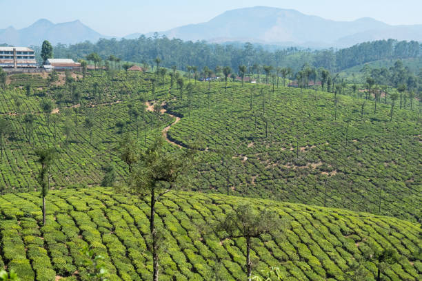 istock Indian hill station landscape 951034212