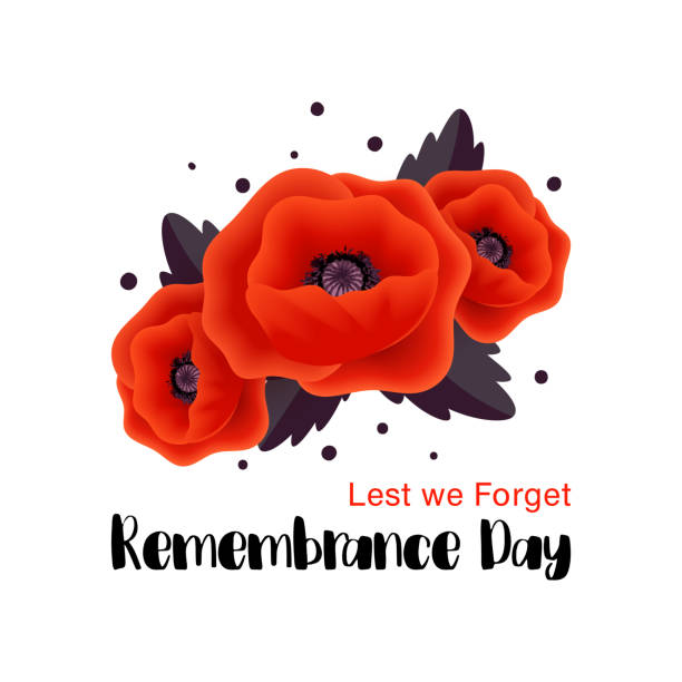 Remembrance Day vector card. Lest We forget. Remembrance Day vector card. Lest We forget. Realistic Red Poppy flower - international  symbol of peace. Vector Illustration EPS 10 file. remembrance day background stock illustrations