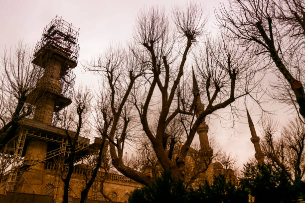 istock Historical blue mosque and minarets with tree branches near topkapi palace in istanbul turkey 951047748