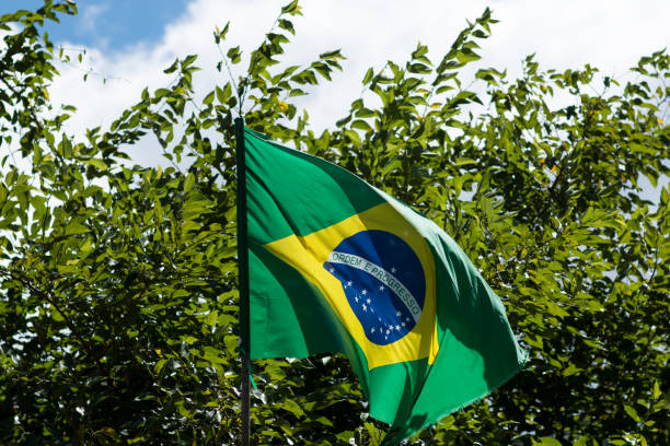 istock Flag of Brazil in the wind 951050632