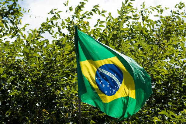 istock Flag of Brazil in the wind 951050634