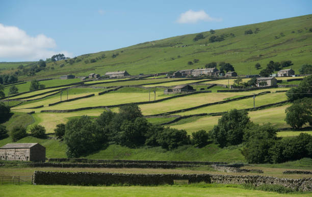 istock Swaledale in the Yorkshire Dales 951050644