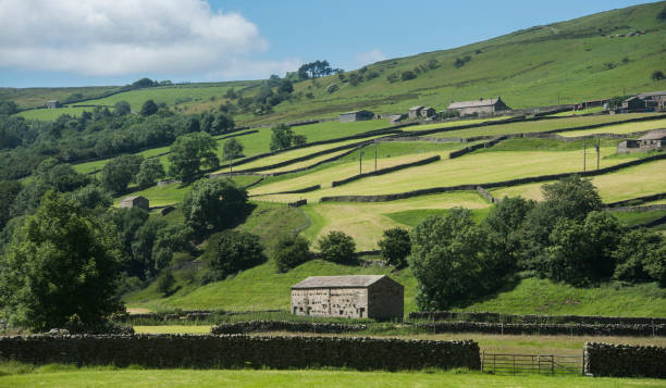 istock Swaledale in the Yorkshire Dales 951050648