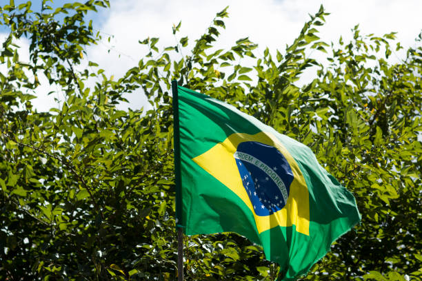 istock Flag of Brazil in the wind 951050652