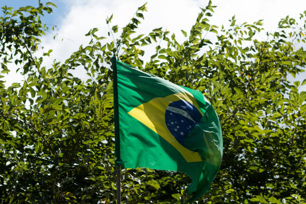 istock Flag of Brazil in the wind 951050664