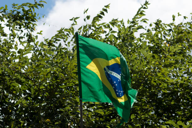 istock Flag of Brazil in the wind 951050682