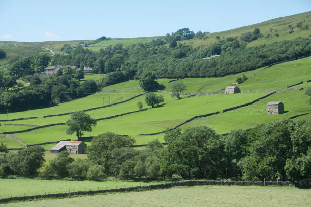 istock Swaledale in the Yorkshire Dales 951050740