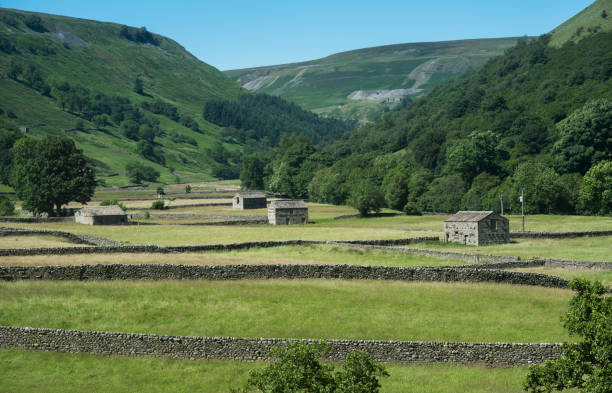 istock Swaledale in the Yorkshire Dales 951050742