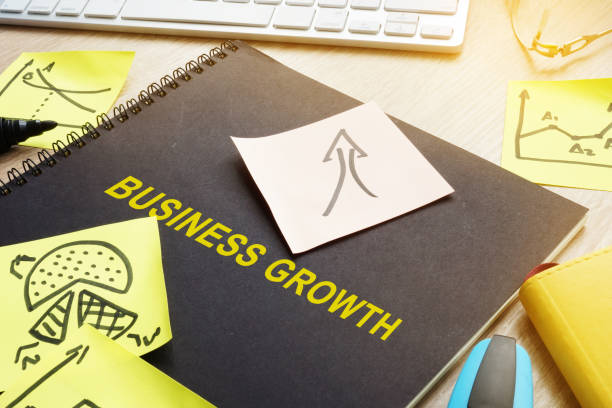 istock Book with title Business growth and sticks. 951050866