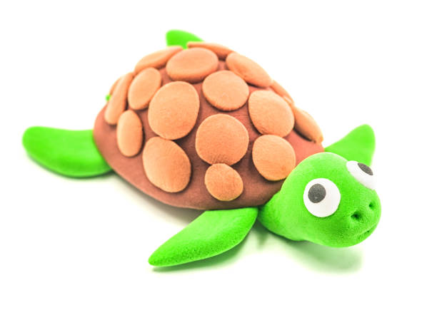 istock cute green turtle isolated on a white background 951053920