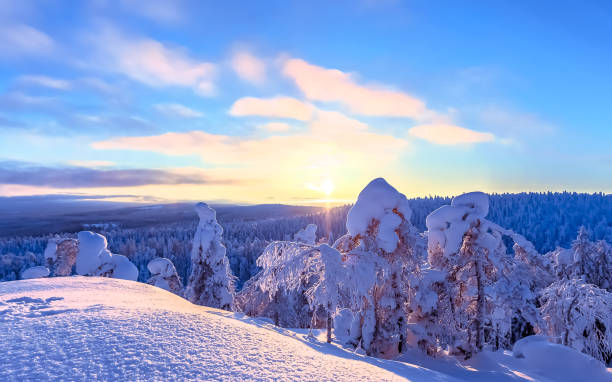 istock Winter landscape from Sotkamo, Finland. 951060062