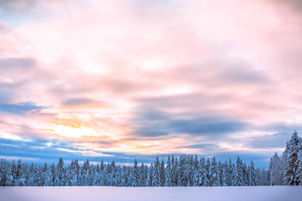 Winter landscape from Sotkamo, Finland.